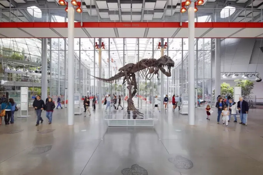 Dinosaur at the California Academy of Sciences